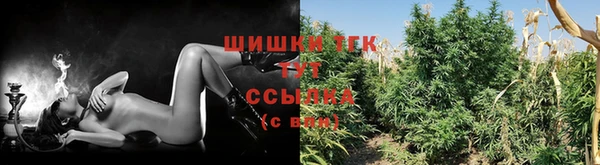 ALPHA PVP Медвежьегорск