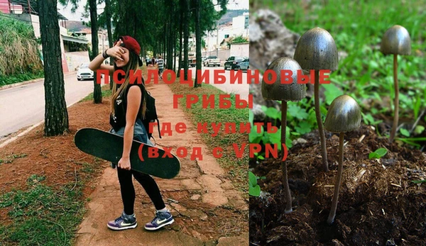 a pvp Дмитров