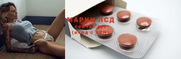хмурый Мегион