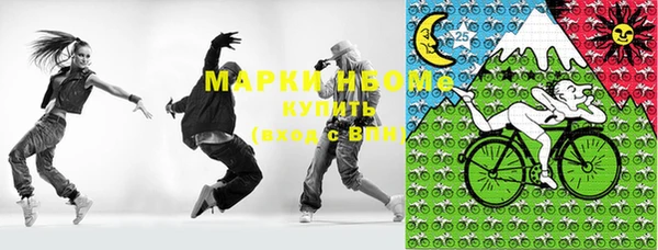 хмурый Мегион