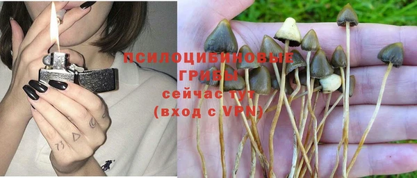 хмурый Мегион