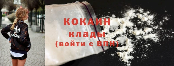 хмурый Мегион