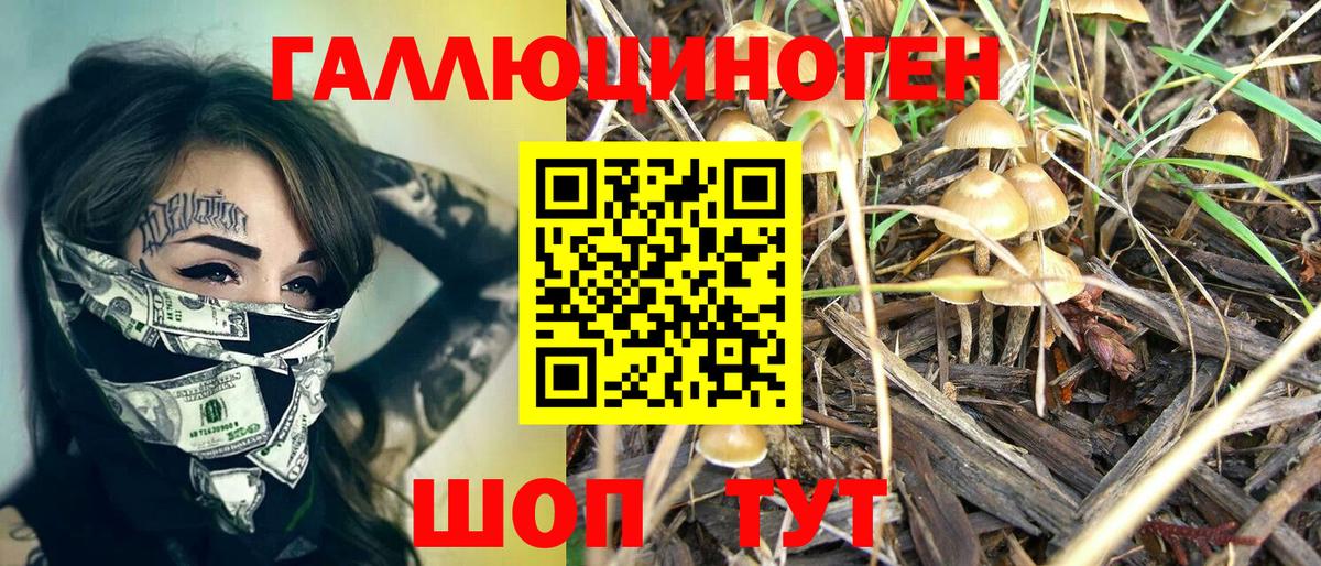 Псилоцибиновые грибы Psilocybine cubensis Мирный